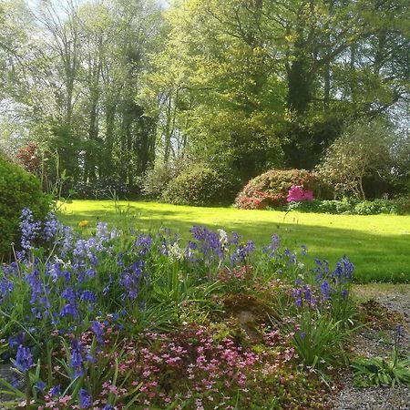 Vila Carncairn Broughshane Pokoj fotografie