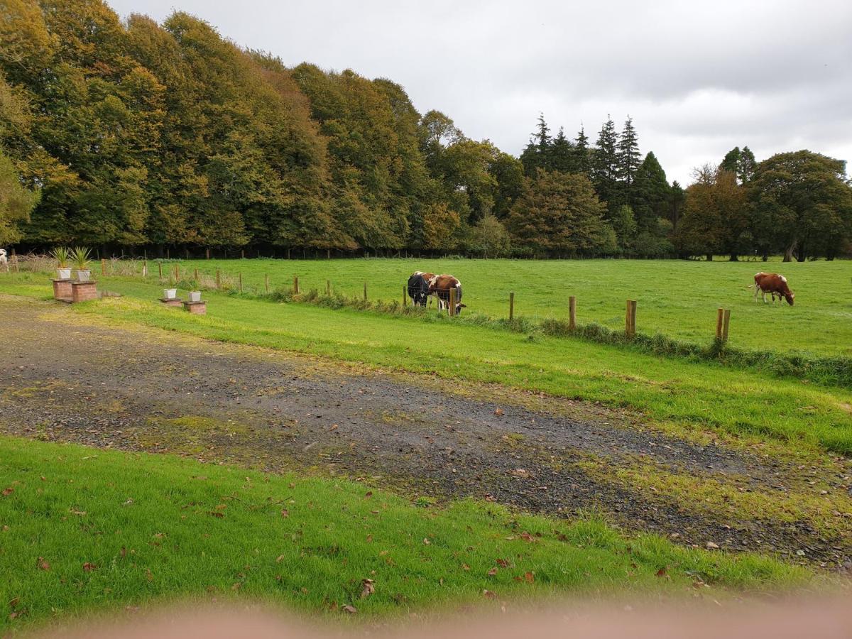 Vila Carncairn Broughshane Exteriér fotografie